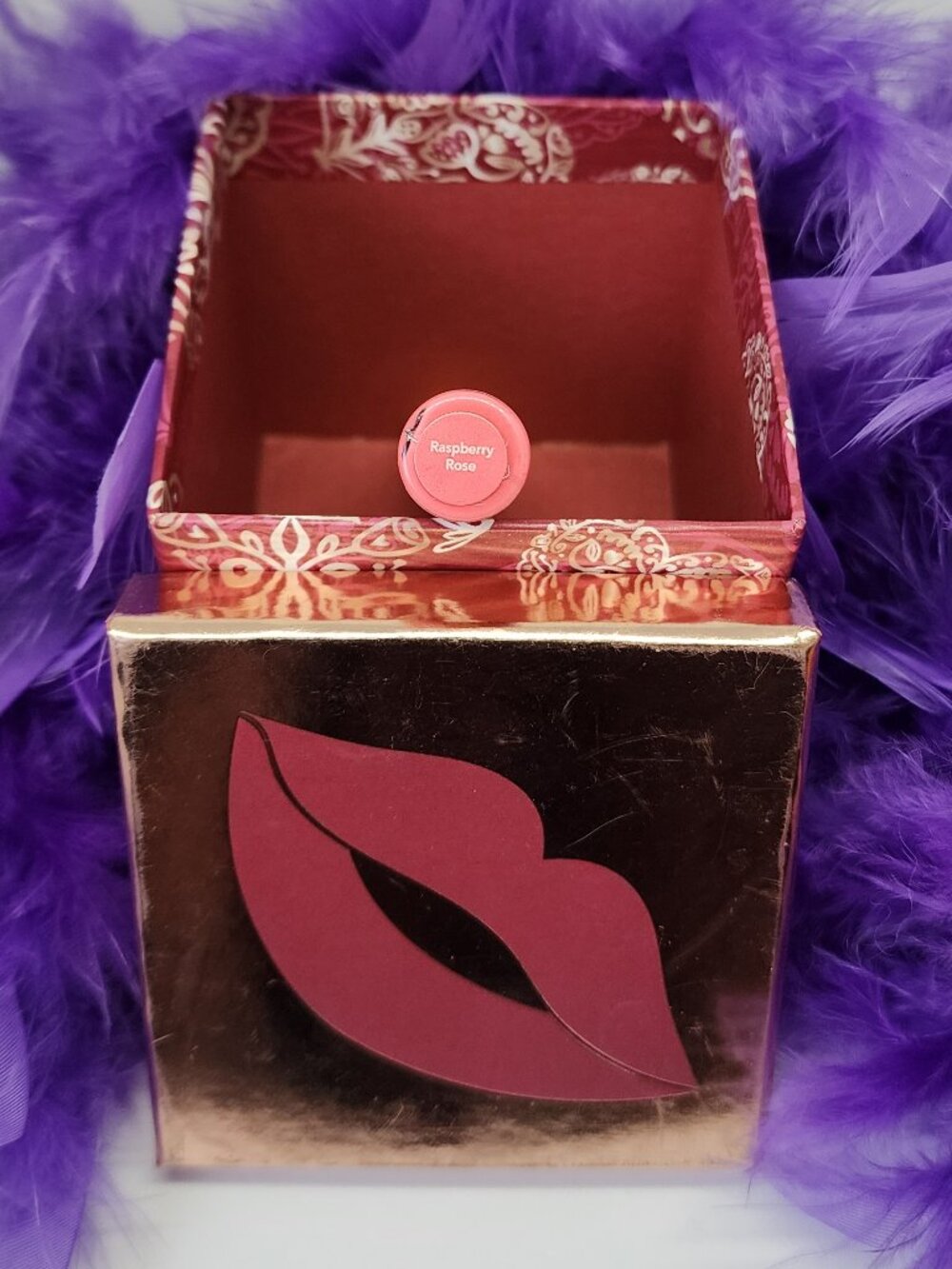 Raspberry Rose Midi Gloss ( 1 Tube )